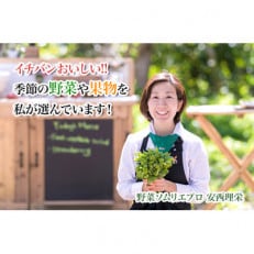 野菜ソムリエプロ厳選!こだわりの旬野菜BOX「リエビン」季節の野菜セット[配送不可地域:離島・沖縄]