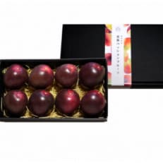 【先行受付】秀品パッションフルーツ 「80g前後の大玉」8個入/2026年8月上旬～9月中旬発送【配送不可地域：離島】【1488731】