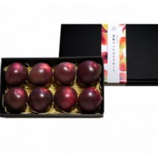 【先行受付】秀品パッションフルーツ 中玉8個入/2026年8月上旬～9月中旬発送【配送不可地域：離島】【1488736】