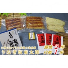 天然 に近づけた究極の養殖 鰻「坂東太郎 使用」うなぎ 蒲焼 2串 ・ 白焼1串 大サイズ【配送不可地域:離島】【1488905】