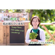 [毎月定期便][下旬発送]こだわりの旬野菜BOX「リエビン」季節の野菜セット全6回[配送不可地域:離島・沖縄]