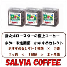 【毎月定期便】まめーる店主おすすめセレクト200g【粉】全3回【4053862】