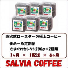【毎月定期便】まめーる店主のきまぐれセレクト200g×2袋【粉】全6回【4053868】