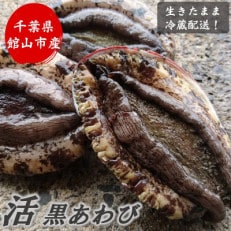 【先行予約】【金曜日発送】漁師直送!天然活黒アワビ1kg(2~5枚)【配送不可地域:離島・北海道・沖縄・東北・中国・四国・九州】【1532976】