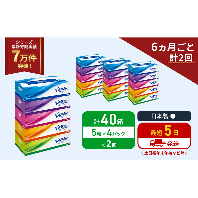 定期便 ティッシュ クリネックス ティシュー 5箱入×4パック《6ヶ月ごと計2回》 ティッシュペーパー セット 柔らかい 節約 日用品 日用雑貨 備蓄 備蓄用 防災 災害 ボックスティッシュ テッシュ ペーパー ローリングストック 宮城 岩沼市