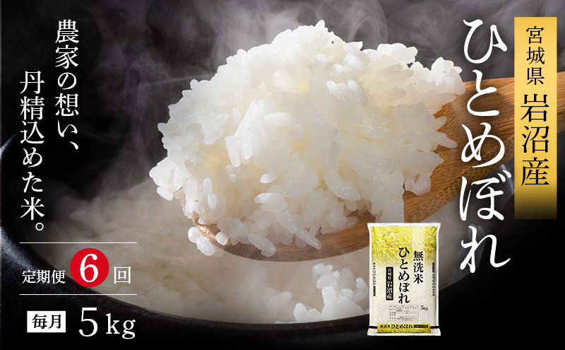 【令和7年産新米/6ヶ月連続定期便】無洗米 ひとめぼれ 5kg×6回 米 岩沼産 お米 白米 ブランド米 単一原料米 5キロ こめ コメ おこめ ご飯 ライス 東北 宮城県産 宮城県産ひとめぼれ 宮城米