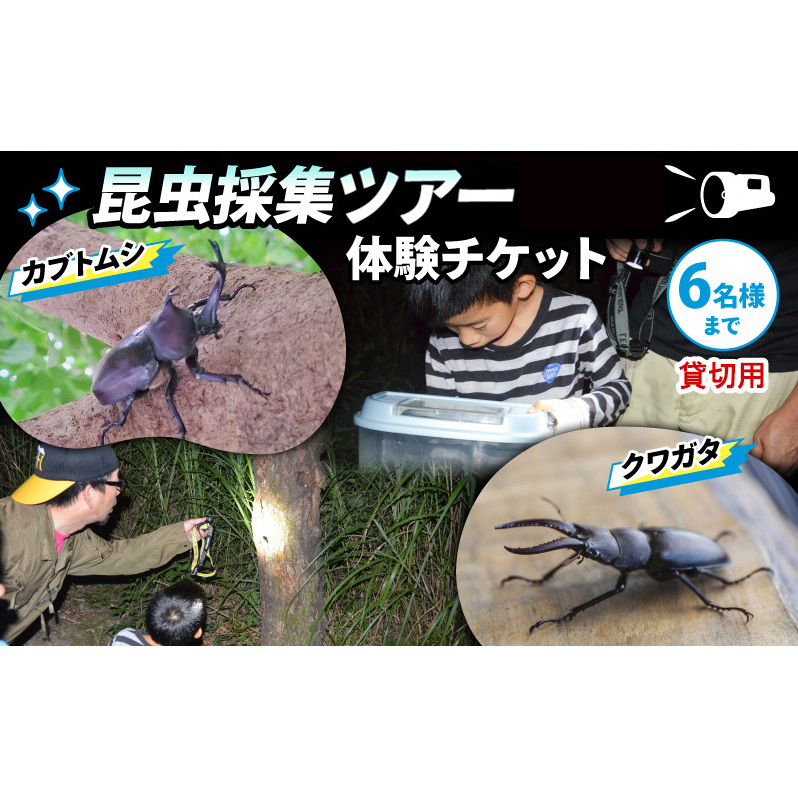 【優先貸切】NHKテレビで取り上げられました!＜先行予約＞【体験期間 2026年6月～8月中旬】虫捕り名人と行く「昆虫採集ツアー」ご利用券(グループ貸切用・車1台) 昆虫 カブトムシ クワガタ アウトドア 京都 南山城村