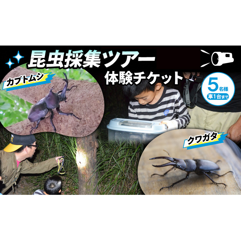 NHKテレビで取り上げられました！先行予約【体験期間 2026年6月～8月中旬】虫捕り名人と行く「昆虫採集ツアー」ご利用券(5名様・車1台まで)他グループと同行有 昆虫 カブトムシ クワガタ 夏休み 親子 京都 南山城村