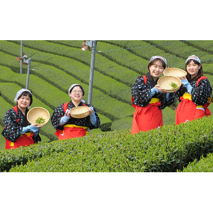 茶娘衣装を着て茶畑の中で自由に撮影プラン（大人ペアチケット） 体験チケット 