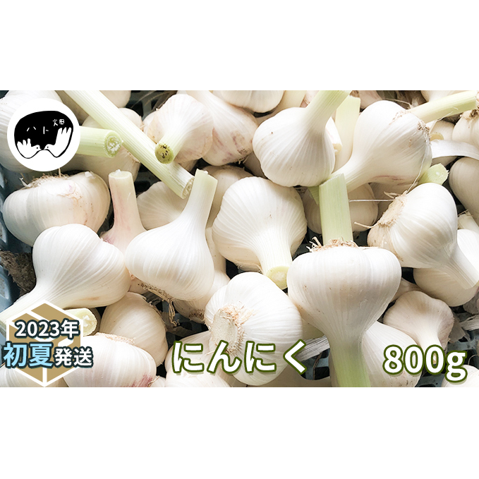 にんにく800g(2023年初夏発送) 野菜 根菜 ニンニク ガーリック 乾燥させた状態でお届け 調味料 ガーリックバター 大蒜漬け