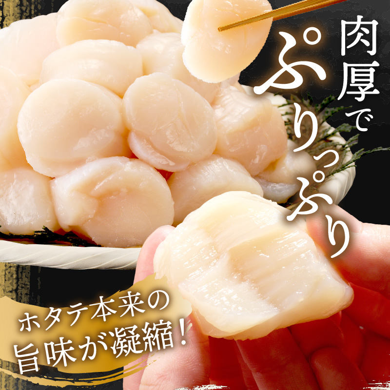 2025年7月発送】北海道オホーツク海産 ホタテ貝柱 800g 生食用