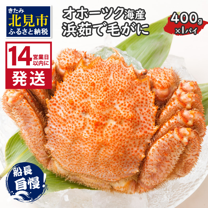 《14営業日以内に発送》オホーツク海産 浜茹で毛がに 400g×1パイ 冷凍 ( かに カニ 毛ガニ 魚介類 蟹 )【114-0012-2025】