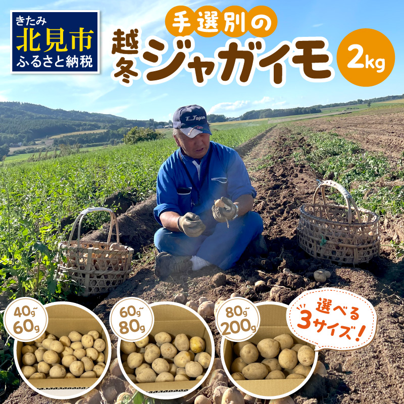 【予約:2026年2月上旬から順次発送】【選べる3サイズ】宇野さんの手拾い、手選別の越冬ジャガイモ 2kg ( 芋 野菜 選べる )【167-0002-2026】