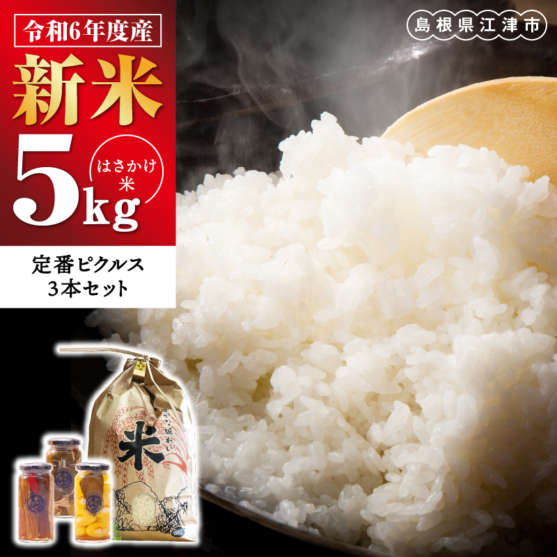 【令和6年度産新米5kg(天日乾燥)】と、やまあいピクルス【定番ピクルス3本セット】【YP-6】|送料無料 ピクルス ぴくるす 米 新米 お米 野菜 やさい ごぼう きゅうり 生姜 ミニトマト うずら卵 カレー味 常温保存 詰め合わせ セット 贈物 プレゼント|