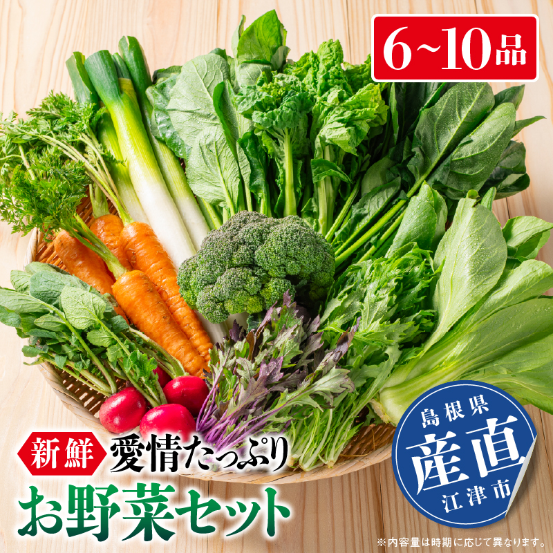 新鮮愛情たっぷりお野菜セット|野菜 旬 新鮮 産地直送 リピ確定 美味しい 大好評 詰め合わせ セット SP-2