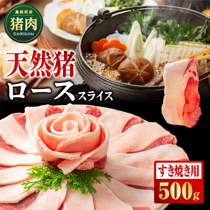 天然猪ローススライスすき焼き用500g AI-8 猪肉 いのしし肉 イノシシ肉 ジビエ ロース ロース肉 スライス すき焼き用 すき焼き 鍋 500g 贈り物 贈答品