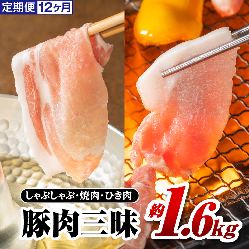 [9/30迄の限定寄附額] 定期便 12ヶ月 まる姫ポーク 豚肉三昧 約1.6kg(肩ロース バラ モモ切り落とし 粗ミンチ) 合計約19.2kg[AK-7]|送料無料 国産 まる姫ポーク 豚肉 ぶた肉 肉 豚バラ肉 バラ肉 挽肉 ミンチ 切り落とし 焼き肉しゃぶしゃぶ 定期便 小分け パック 江津市