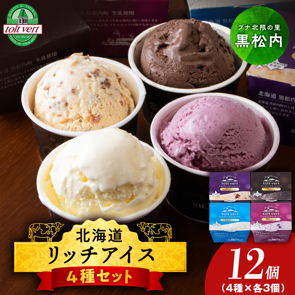 リッチアイスクリーム 12個セット（100ml）【 4種 × 各3個】アイス スイーツ おやつ 冷凍 食べ比べ