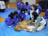 ９．人も動物も幸せに  「動物にもやさしいまち」