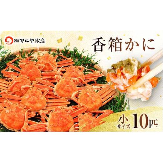 石川県産 香箱蟹 せいこ 小サイズ 10匹 詰合せ 11月10日~12月15日発送 浜茹で 産地直送 ズワイガニ ずわいがに ずわい蟹の雌 先行予約 予約 せいこ 蟹 かに グルメ F6P-2768