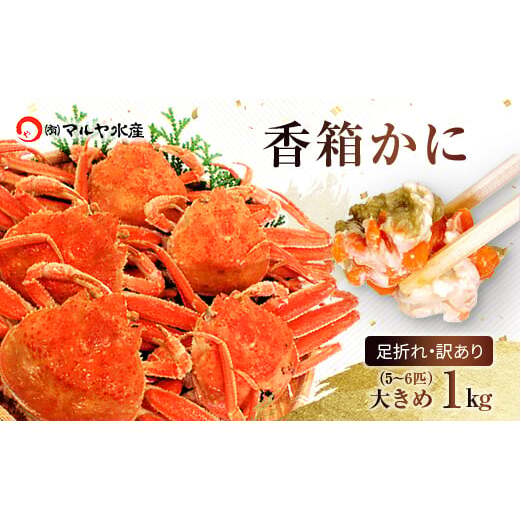 石川県産 香箱蟹 せいこ 訳あり 大きめ 1kg 5～6匹 詰合せ 11月10日～12月15日発送 浜茹で 産地直送 F6P-2774