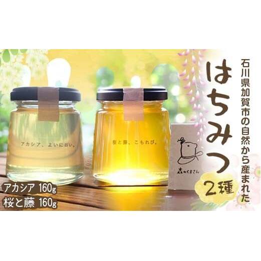 石川県産はちみつ あかしあ160g×桜と藤160g ハチミツ 蜂蜜 加工品 調味料 食品 F6P-2817