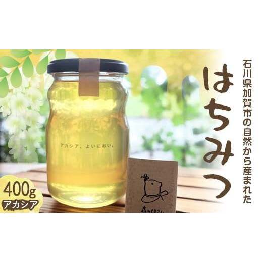 石川県産はちみつ あかしあ 400g ハチミツ 蜂蜜 加工品 調味料 食品 F6P-2816