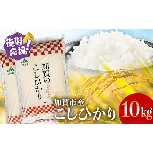 【3月発送】復興応援米 令和7年産こしひかり 10kg(5kg×2袋) 精米 銘柄米 お米 米 ギフト 贈り物 グルメ 食品 復興 震災 コロナ 能登半島地震 復興支援 北陸新幹線 F6P-2931