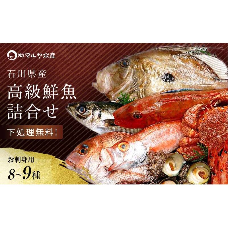 旬の鮮魚詰合せ 8～9種 下処理済み 旬 獲れたて 鮮魚 刺身用 詰合せ セット 海産物 海の幸 魚 魚介 おかず おつまみ 肴 国産 食品 復興 震災 コロナ 能登半島地震復興支援 北陸新幹線 F6P-0039