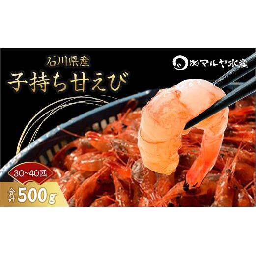 子持ち甘えび お刺身用 500g 30~40匹 産地直送 子持ち 甘えび 甘エビ 獲れたて 海老 エビ えび 刺身海産物 肴 国産 食品 復興 震災 コロナ 能登半島地震復興支援 北陸新幹線 F6P-0971