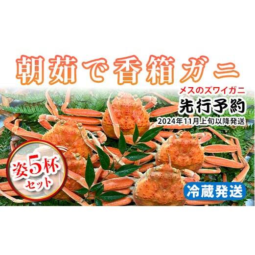 ふるさと納税 年内配送 12月18日まで受付 2284.カニ ズワイ蟹