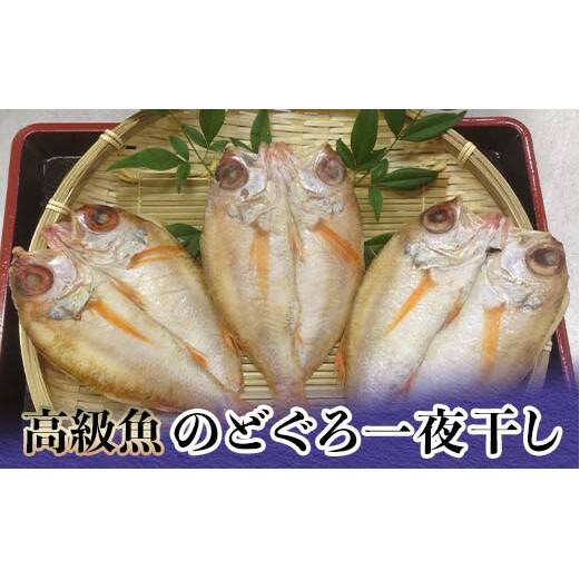 高級魚のどぐろ一夜干し 約120g～150g ×3 一夜干し あかむつ類 のどぐろ ノドグロ 魚  グルメ 海産物 海の幸 干物 おつまみ 肴 食品 復興 震災 コロナ 能登半島地震復興支援 北陸新幹線 F6P-2384