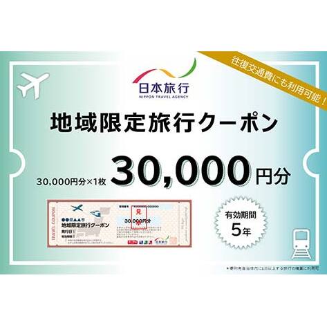 日本旅行 地域限定旅行クーポン 30,000円分 旅行 クーポン 利用券 チケット 旅行クーポン 宿泊 宿 旅館 ホテル レジャー 体験 交通 観光 トラベル 加賀市 復興 震災 コロナ 能登半島地震復興支援 北陸新幹線 F6P-1019