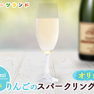 オリジナルりんごのスパークリングワイン　750ml×1本 F6P-1818