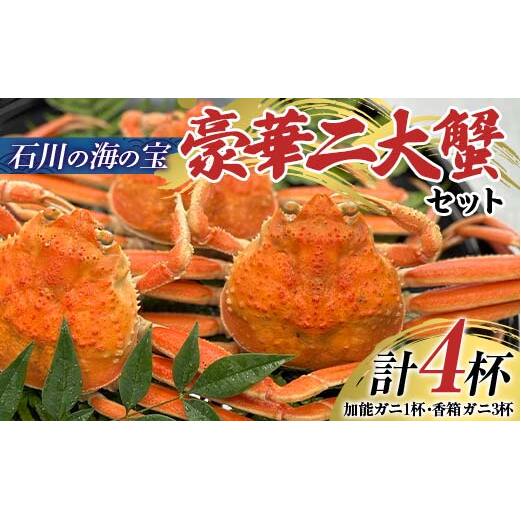 【先行予約】【冷蔵発送】<石川の海の宝>豪華二大蟹セット（加能ガニ1杯・香箱ガニ3杯） 2025年11月上旬以降発送 蟹 カニ かに ずわい 石川 加賀 F6P-2484