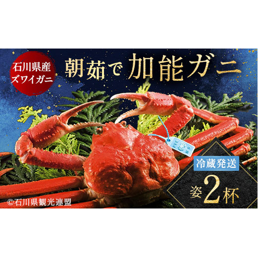 朝茹で 加能ガニ 姿2杯 カニ 朝ゆで 加能蟹 かのうがに 姿 ボイル 蟹 ズワイガニのオス 冷蔵発送 贈り物 ギフト ご当地 グルメ 海の幸 海産物 食品 F6P-2399
