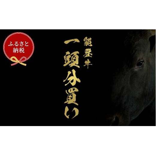 【和牛セレブ】能登牛 一頭買い（12分割配送） 牛肉 最高級 一頭買い 黒毛和牛 能登牛 和牛セレブ F6P-2157