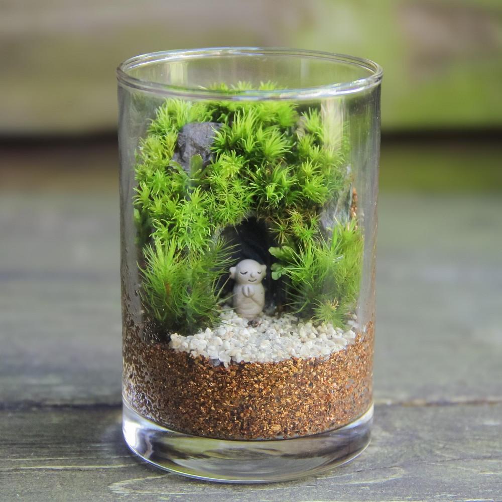 《苔テラリウム・コケリウム》鎌倉のやぐら地蔵_シリンダーS