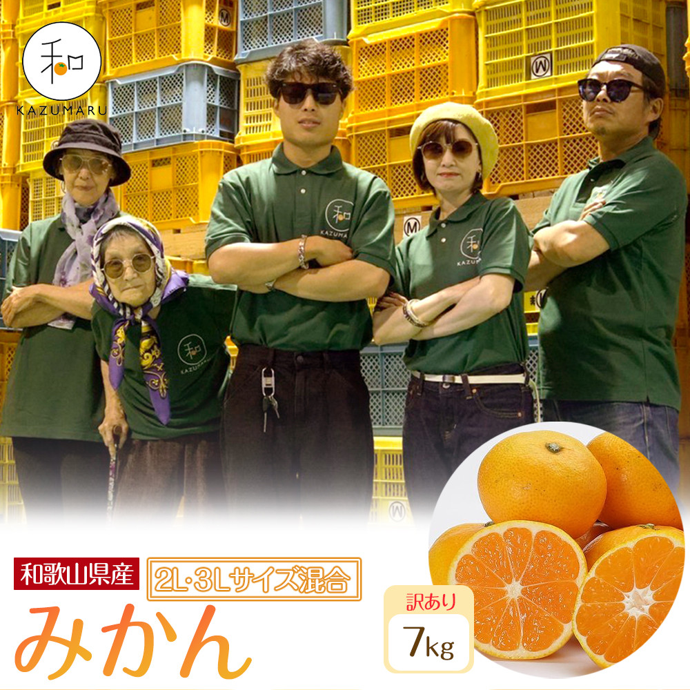 訳あり 森本農園の手選別 大玉みかん 約7kg 和歌山県産 2L・3Lサイズ混合 ［北海道・沖縄・離島配送不可］［2025年11月上旬から順次発送］［RN83］