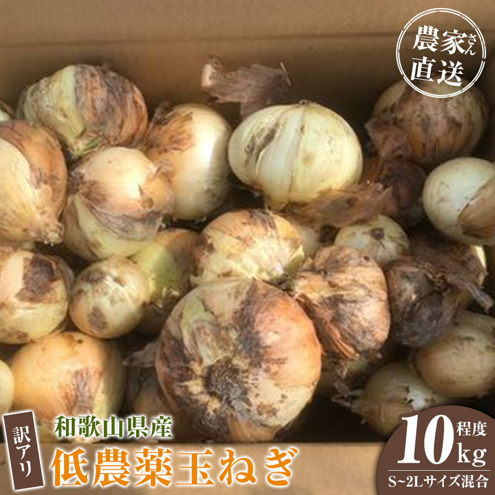 ［2026年発送分・先行予約］訳あり 農家さん直送 低農薬玉ねぎ 10kg程度 S～2L混合［4月中旬～7月中旬頃発送予定］ご家庭用 ※傷有り［KF14］