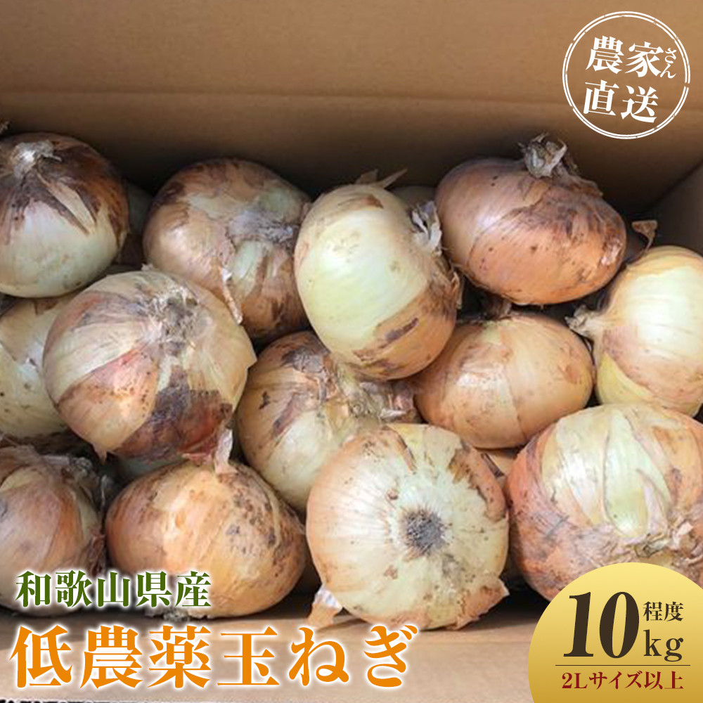 ［2026年発送分・先行予約］農家さん直送 低農薬玉ねぎ 2Lサイズ以上 10kg程度［4月中旬～7月中旬頃発送予定］［KF15］