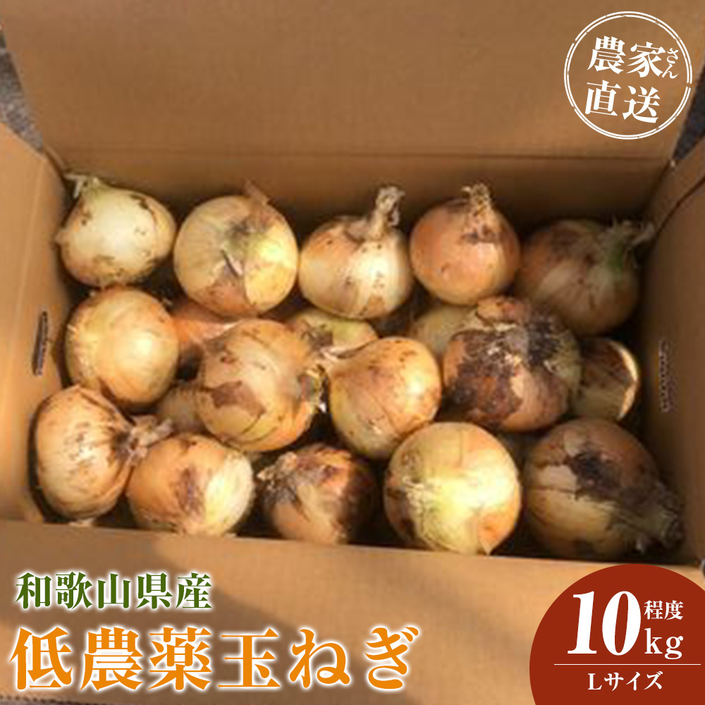 ［2026年発送分・先行予約］農家さん直送 低農薬玉ねぎ Lサイズ 10kg程度［4月中旬～7月中旬頃発送予定］［KF16］
