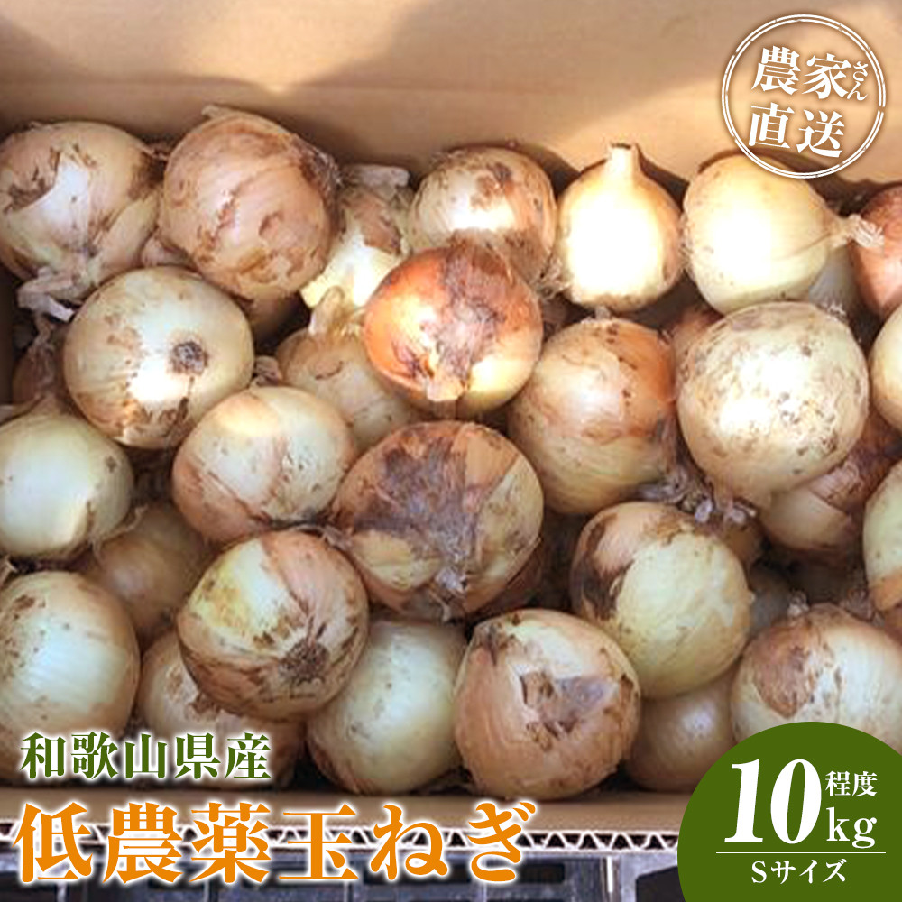 ［2026年発送分・先行予約］農家さん直送 低農薬玉ねぎ Sサイズ 10kg程度［4月中旬～7月中旬頃発送予定］［KF18］