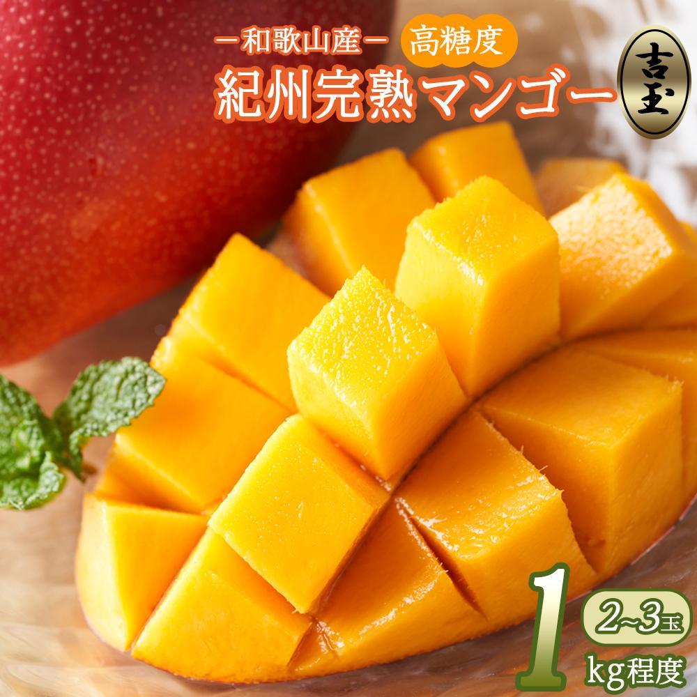◆先行予約◆和歌山県産 紀州完熟マンゴー『吉玉』約1kg程度/2~3玉入り【2025年7月中旬から8月下旬頃発送予定】【MG20】