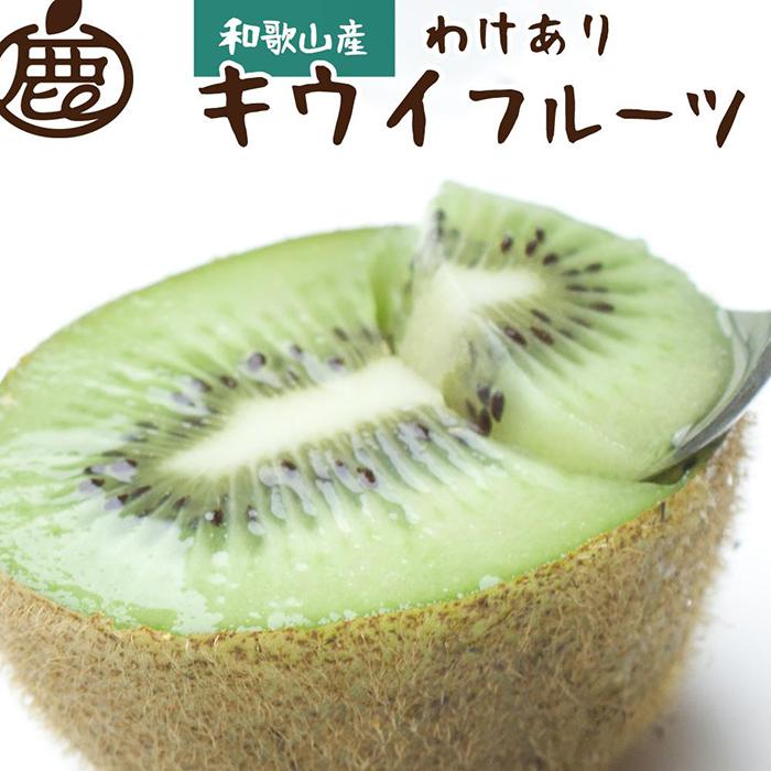 ［先行予約］家庭用 キウイ2.5kg+250g（傷み補償分）【わけあり・訳あり・扁平果】［IKE105］