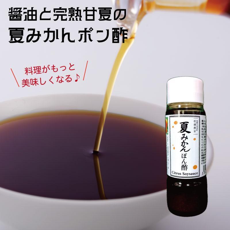 湯浅の醤油の深いコクと完熟甘夏の自然な酸味「夏みかんポン酢」【3本】