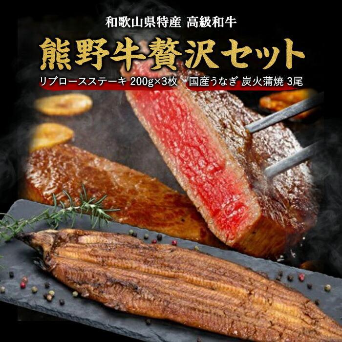 豪華限定企画!熊野牛ステーキと国産炭火焼鰻の贅沢うな牛セットB【MT28】