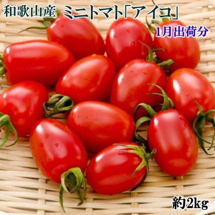 ［2026年1月出荷分］和歌山産ミニトマト「アイコトマト」約2kg（S・Mサイズおまかせ）［TM109］