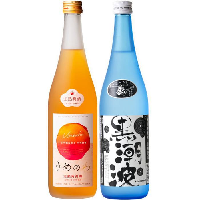 焼酎 黒潮波(くろしおなみ)720mlと紀州完熟南高梅「梅酒」720mlの2本セット【TM19】