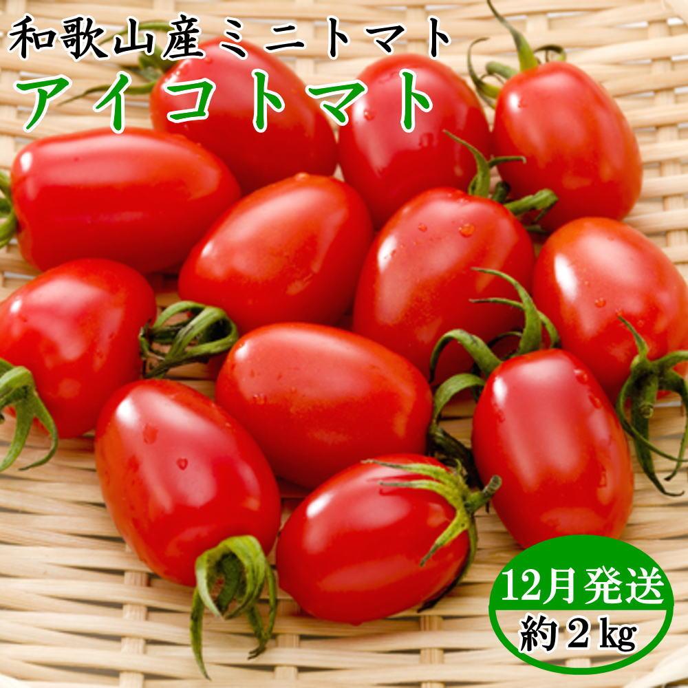 ［2025年12月出荷分］和歌山産ミニトマト「アイコトマト」約2kg（S・Mサイズおまかせ）［TM158］